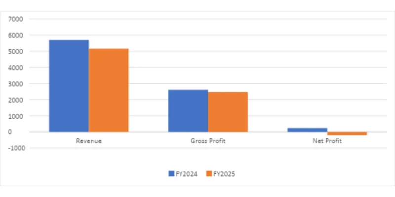Financial Performance (FY2025 VS FY2024):